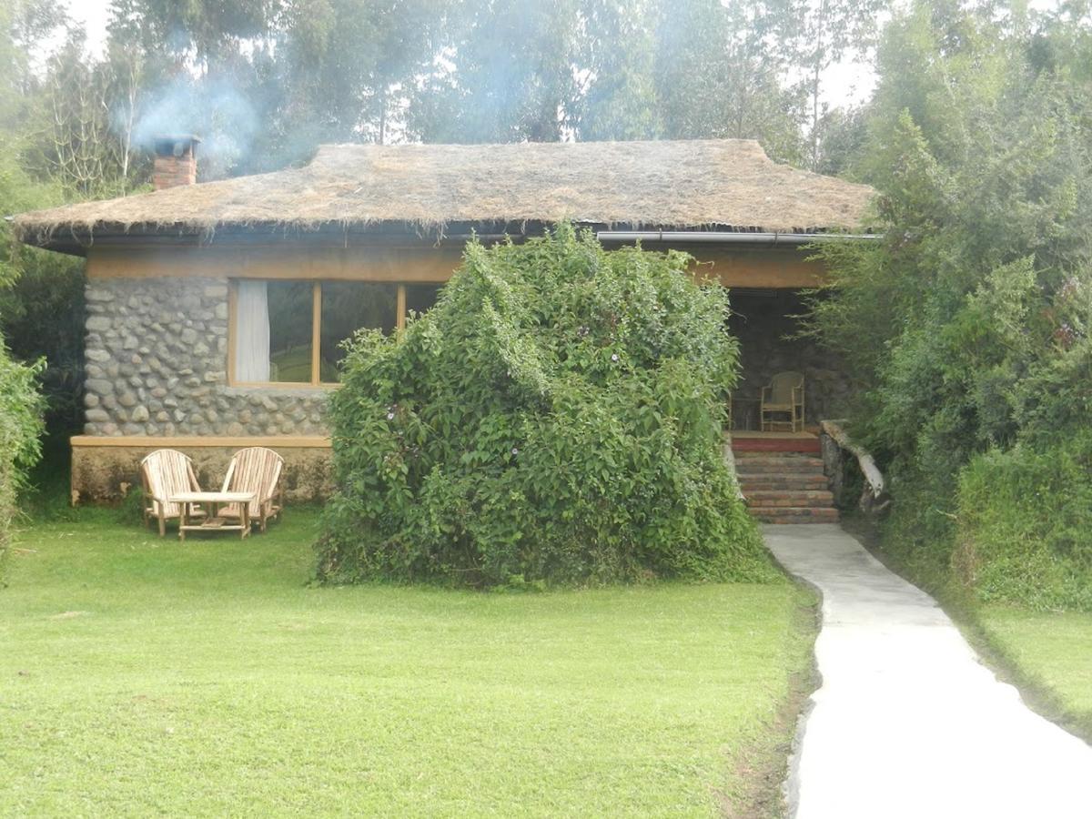 Mountain Gorilla View Lodge Musanze Exterior photo