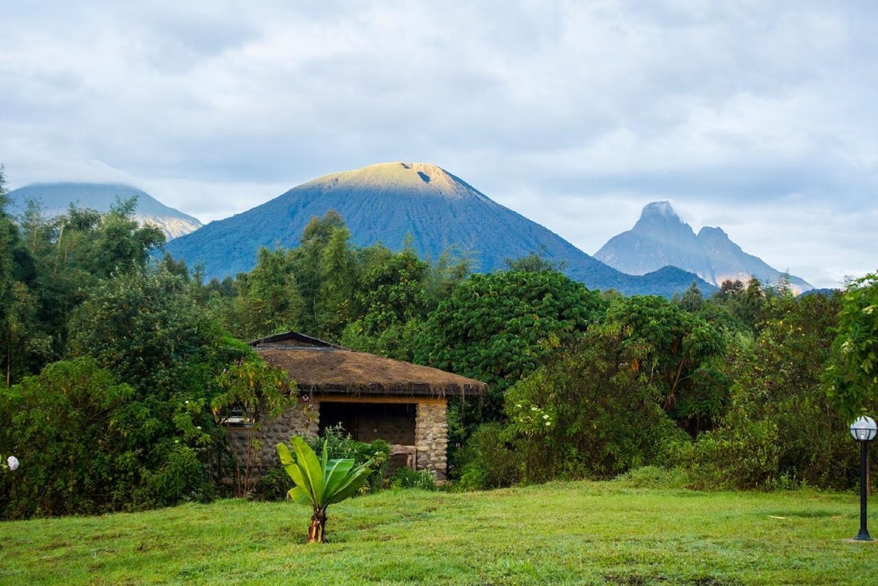 Mountain Gorilla View Lodge Musanze Room photo